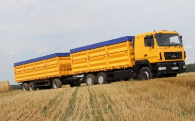 Транспорт для перевозки зерна. Автомобили МАЗ - Новосибирск, заказать или взять в аренду