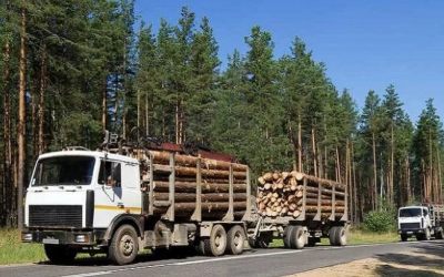 Лесовозы для перевозки леса, аренда и услуги. - Бердск, заказать или взять в аренду