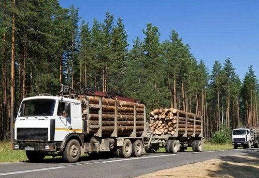 Лесовоз Лесовозы для перевозки леса, аренда и услуги. взять в аренду, заказать, цены, услуги - Бердск