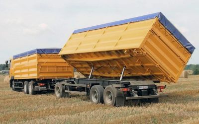 Услуги зерновозов для перевозки зерна - Новосибирск, цены, предложения специалистов