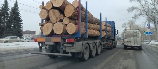 Поиск транспорта для перевозки леса, бревен и кругляка стоимость услуг и где заказать - Новосибирск