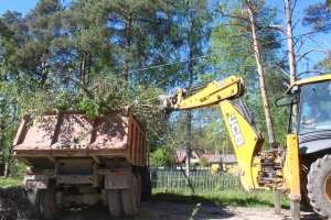 Спил и вырубка деревьев стоимость услуг и где заказать - Новосибирск