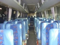 Автобусные перевозки стоимость услуг и где заказать - Карасук